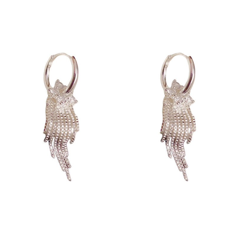 Luxury Zircon Petal & Metal Tassel Earrings – Silver Needle Geometric
