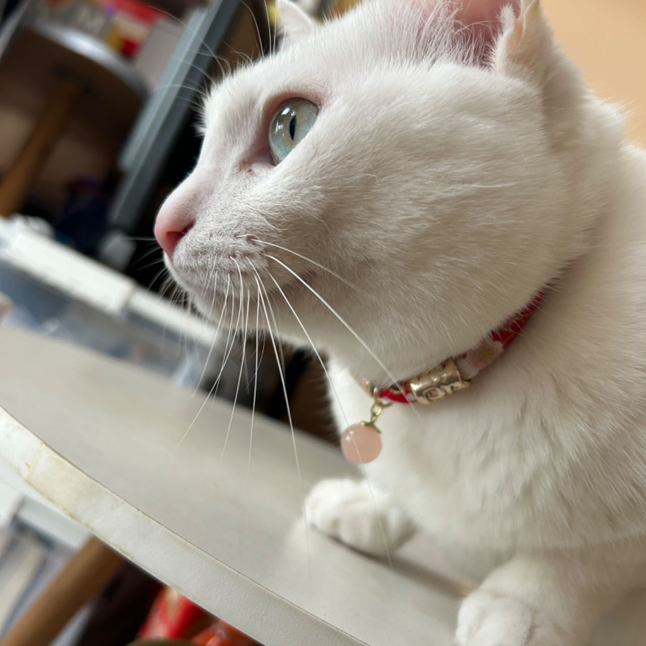 The Benefits of Crystals for Cats: How Crystals Can Improve Your Cat's Health and Well-being