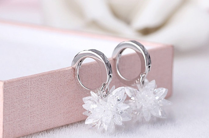 S925 silver Pure and beautiful Polaris earrings