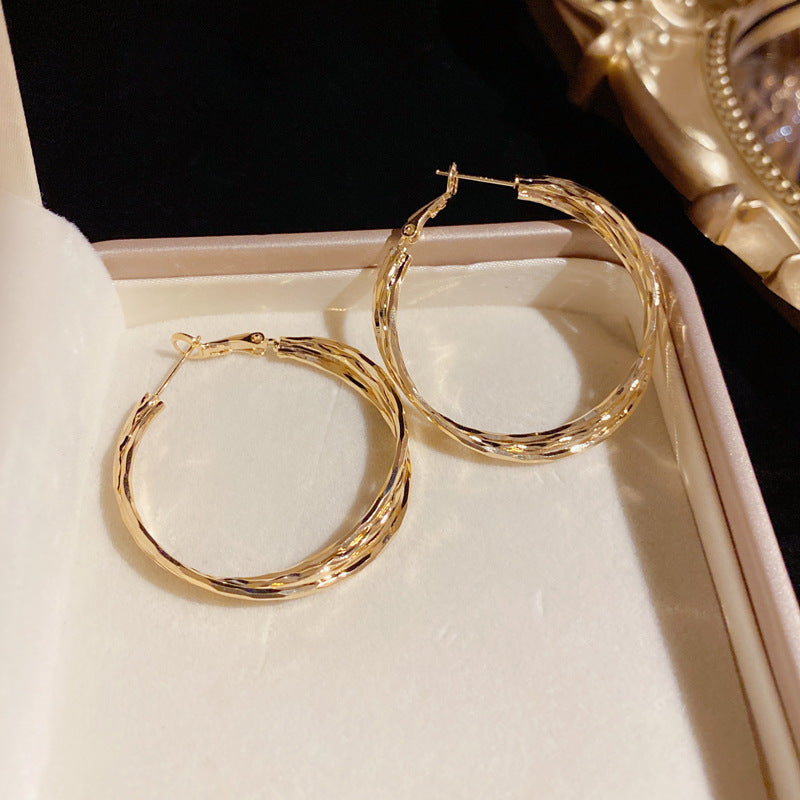 S925 Silver Stylish Minimalist Metal Twisted Hoop Earrings -Luxe Design