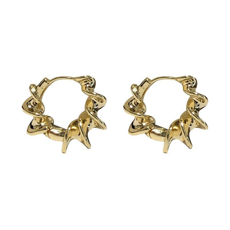 Eaioncol Spiral Hoop Earrings Gold Silver